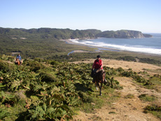 Chilean beach - Horseback adventure in Chile - Randocheval / Absolu Voyages