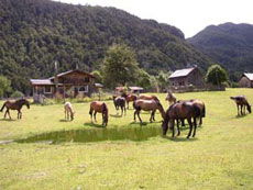 Horseback trail in South America - Randocheval