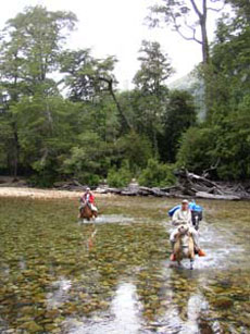 Fording in a translucent water - Horseback trail in Chile  - Randocheval