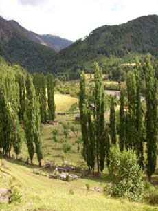 Landscape of the  trail in Chile  - Randocheval