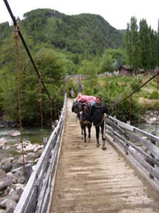 Horseback bridge crossing   - Horseback trail in Chile - Randocheval