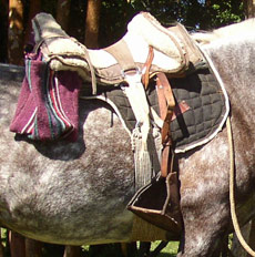 Chilean tack and recado saddles will be provided on that trail in Chile - Randocheval / Absolu Voyages