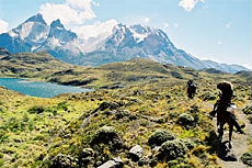 Randonnée équestre en Patagonie