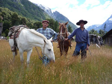Les baquenos sont les cow boys du cru au Chili - RANDOCHEVAL