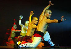 Spectacle Legend of Kung Fu - RANDOCHEVAL