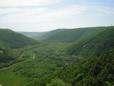 Vue splendide sur l'Istrie et ses paysages verdoyants - Croatie