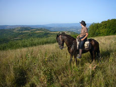 Vancances &agrave; cheval au coeur des paysages d'Istrie en Croatie - RANDO CHEVAL