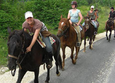 Vous passerez 5 &agrave; 6h en selle chaque jour lors de notre randonn&eacute;e &agrave; cheval en Croatie - Randocheval