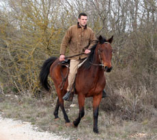Randonn&eacute;e &agrave; cheval de 6 jours au coeur de l'Istrie - Randocheval