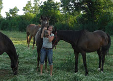 Chevauch&eacute;e &eacute;questre au coeur de l'Istrie verdoyante - Croatie - Randocheval
