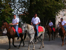 Randonn&eacute;e &agrave; cheval dans les petits villages d'Istrie en Croatie - Randocheval