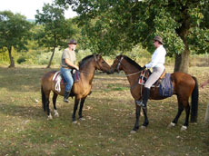 D&eacute;couverte de la Croatie &agrave; cheval - Randocheval