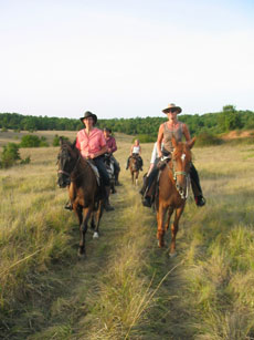 Vacances &agrave; cheval en Croatie - Randocheval
