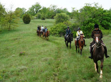 Randonn&eacute;e &agrave; cheval en Croatie - RANDOCHEVAL