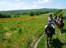 Randonn&eacute;e &eacute;questre en Croatie / randocheval - Absolu voyages