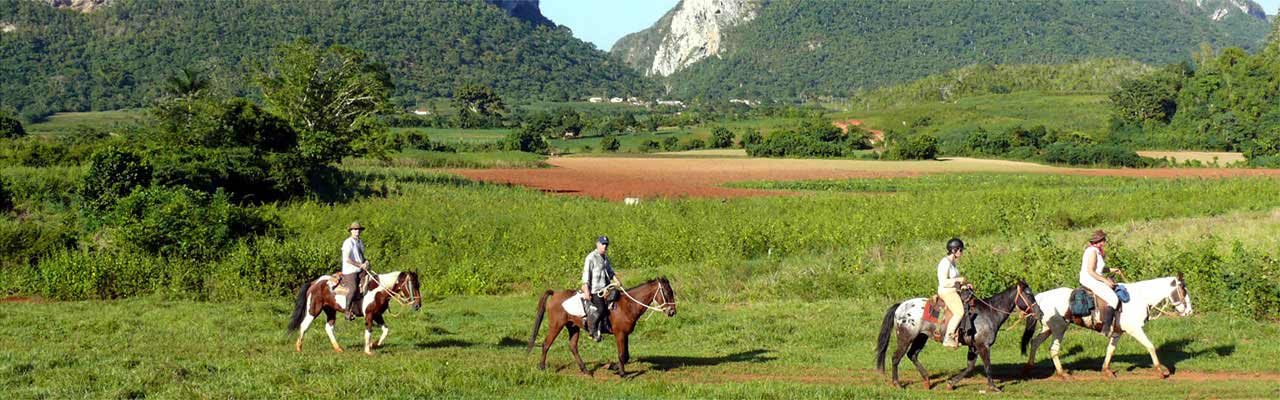 randonnee cheval debutant