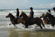 Randonn&eacute;e &eacute;questre dans le Donegal - Tourism Ireland - Randocheval
