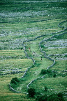 Randonn&eacute;e &eacute;questre dans le Donegal - Tourism Ireland - Randocheval
