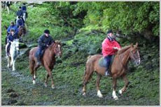Randonn&eacute;e &eacute;questre dans le Donegal - Tourism Ireland - Randocheval
