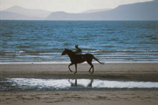 Randonn&eacute;e &eacute;questre dans le Donegal - Tourism Ireland - Randocheval