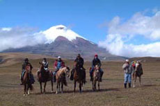 Equateur - Groupe de cavaliers - Randonnée équestre sur l'avenue des volcans - Randocheval / Absolu voyages