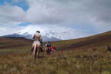 Randonn&eacute;e &eacute;questre dans la Cordill&egrave;re des Andes en Equateur, sur l'Avenue des Volcans - Rando Cheval / Absolu Voyages