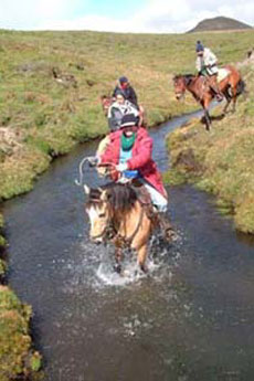 Randonn&eacute;e &eacute;questre dans la Cordill&egrave;re des Andes en Equateur, sur l'Avenue des Volcans - Rando Cheval / Absolu Voyages