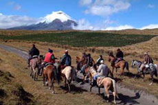 Equateur - vue sur le volcan - Randonn&eacute;e &eacute;questre de rassemblement des troupeaux - Randocheval / Absolu voyages