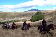 Equateur - Sur les plus hauts sommets Andins  - Randonn&eacute;e &eacute;questre sur l'avenue des volcans - Randocheval / Absolu voyages