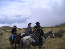Equateur - D&eacute;monstration de lasso par un chagra - Randonn&eacute;e &eacute;questre de rassemblement des troupeaux - Randocheval / Absolu voyages