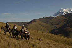 Fantastic trail ride in the Andes in Ecuador - Rando Cheval / Absolu Voyages