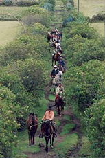 Equateur - Sur les terres de l'Hacienda - Randonnée équestre sur l'avenue des volcans - Randocheval / Absolu voyages