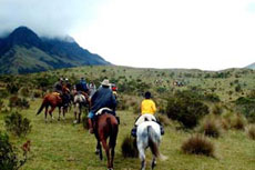 Equateur - Sur les plus hauts sommets Andins  - Randonn&eacute;e &eacute;questre sur l'avenue des volcans - Randocheval / Absolu voyages