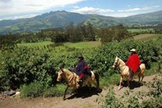 Equateur - enroute pour l'hacienda Yanahurco - Randonnée équestre sur l'avenue des volcans - Randocheval / Absolu voyages