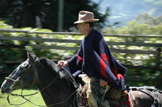 Equateur - troupeaux - Randocheval / Absolu voyages