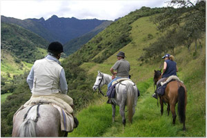 Rassemblement du b&eacute;tail (round et cattle drive) en Equateur dans la Cordill&egrave;re des Andes avec les chagras (gauchos et cow boys locaux) - Randocheval / Absolu Voyages