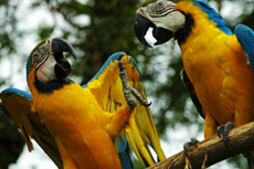 Equateur - Extension aux Galapagos - Randocheval / Absolu voyages