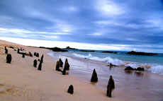 Equateur - Extension aux Galapagos - Randocheval / Absolu voyages