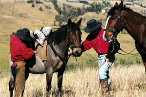 Horse riding holidays, horseback trails and equestrian vacation in Ecuador (South America) on Volcanoes Avenue in Andes mountains : enjoy the oldest and best preserved historical haciendas in South America !