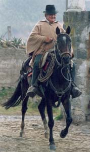 Horse riding holidays, horseback trails and equestrian vacation in Ecuador (South America) on Volcanoes Avenue in Andes mountains : enjoy the oldest and best preserved historical haciendas in South America  !