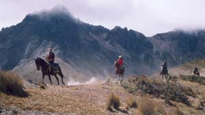 Horse riding holidays, horseback trails and equestrian vacation in Ecuador (South America) on Volcanoes Avenue in Andes mountains : enjoy the oldest and best preserved historical haciendas in South America  !