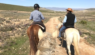 Voyage à cheval sur les plages d'Andalousie - Randonnée équestre organisée par Randocheval