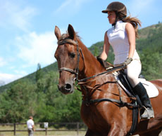Stage linguistique et &eacute;questre - Randocheval