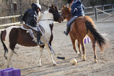Stage linguistique et &eacute;questre - Randocheval
