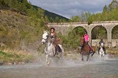 Stage linguistique et &eacute;questre - Randocheval