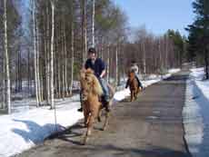 Horse riding trail in Finland &ndash; Randocheval / Absolu Voyages