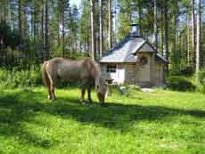 Horse riding trail in Finland &ndash; Randocheval / Absolu Voyages