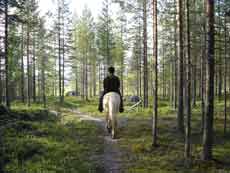 Horse riding trail in Finland &ndash; Randocheval / Absolu Voyages
