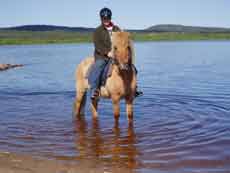 Horse riding trail in Finland &ndash; Randocheval / Absolu Voyages