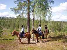 Horse riding trail in Finland &ndash; Randocheval / Absolu Voyages